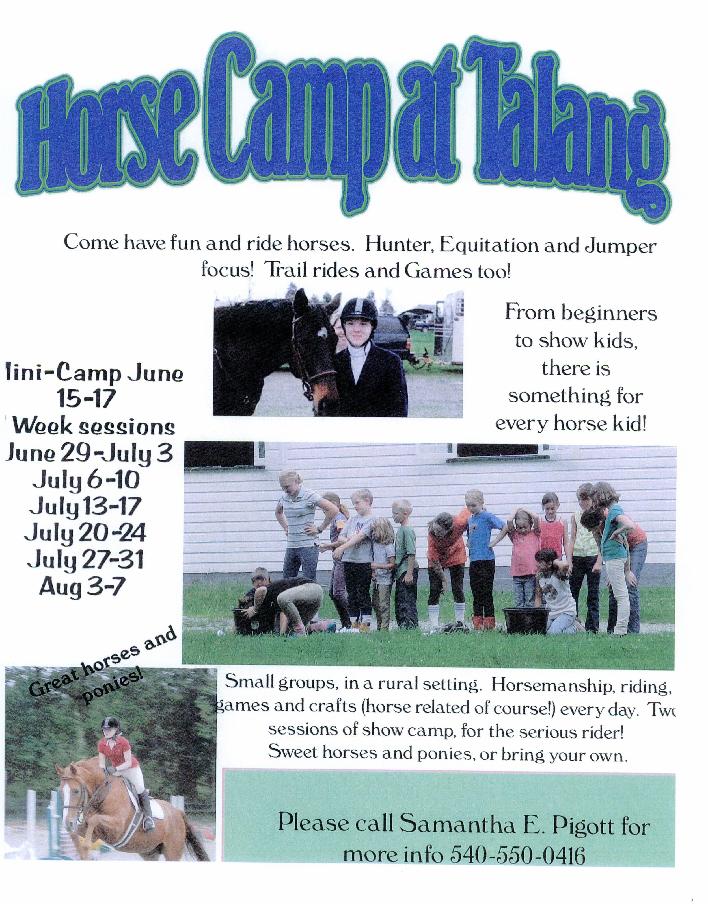 summer horse camp northern virginia berryville summer horse camp flyer